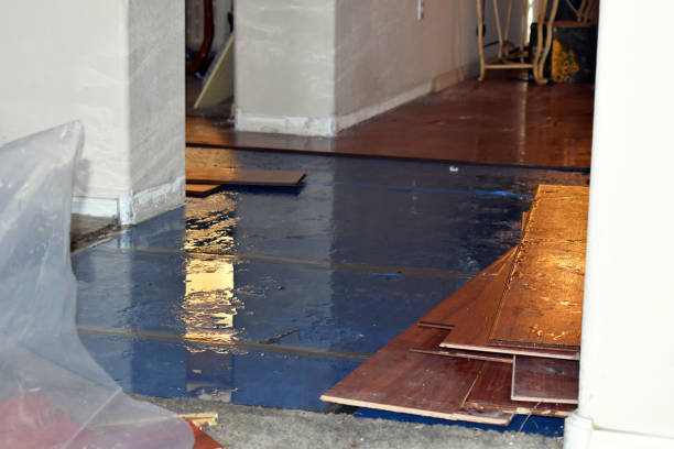 Professional Water Extraction technician working in Claude, TX